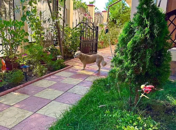 Casa Duminica Gazde/Camere de închiriat